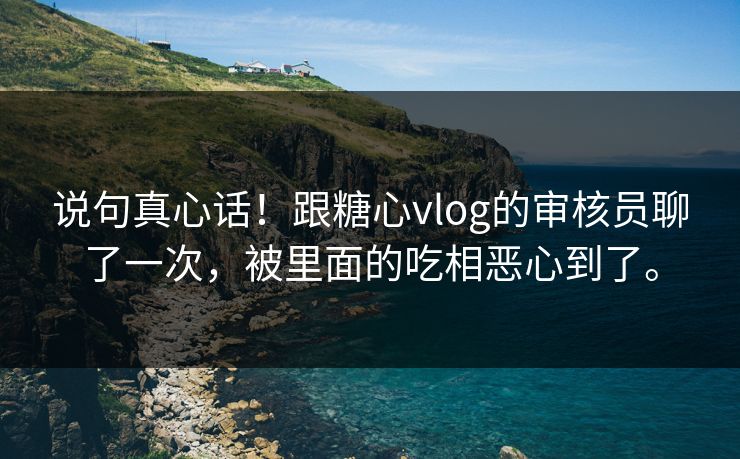 说句真心话！跟糖心vlog的审核员聊了一次，被里面的吃相恶心到了。