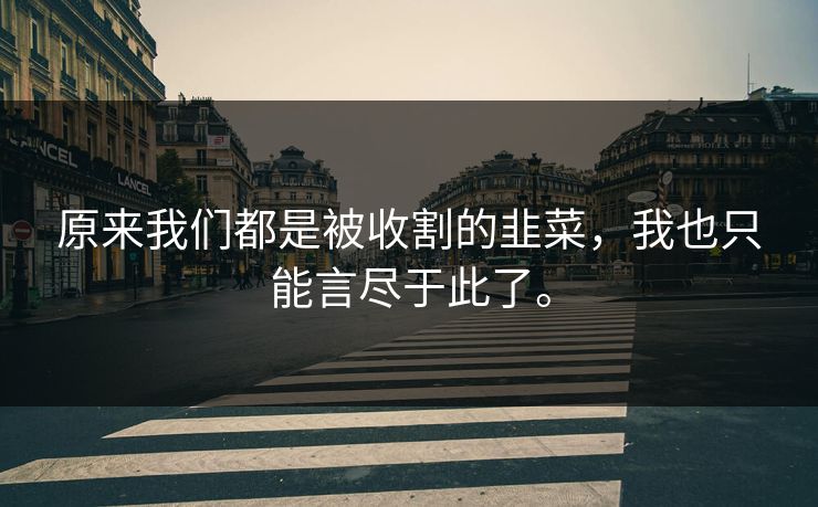 原来我们都是被收割的韭菜，我也只能言尽于此了。