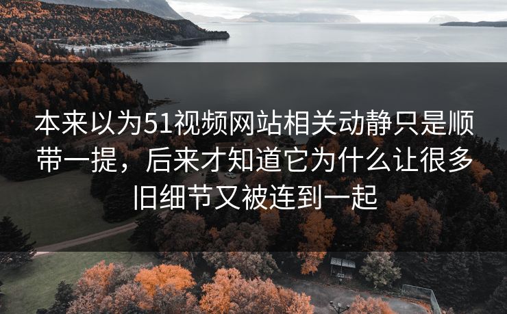 本来以为51视频网站相关动静只是顺带一提，后来才知道它为什么让很多旧细节又被连到一起