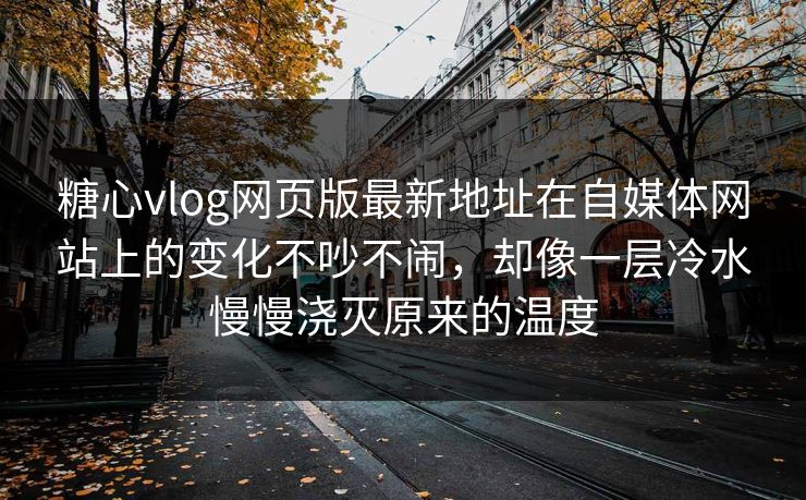 糖心vlog网页版最新地址在自媒体网站上的变化不吵不闹，却像一层冷水慢慢浇灭原来的温度